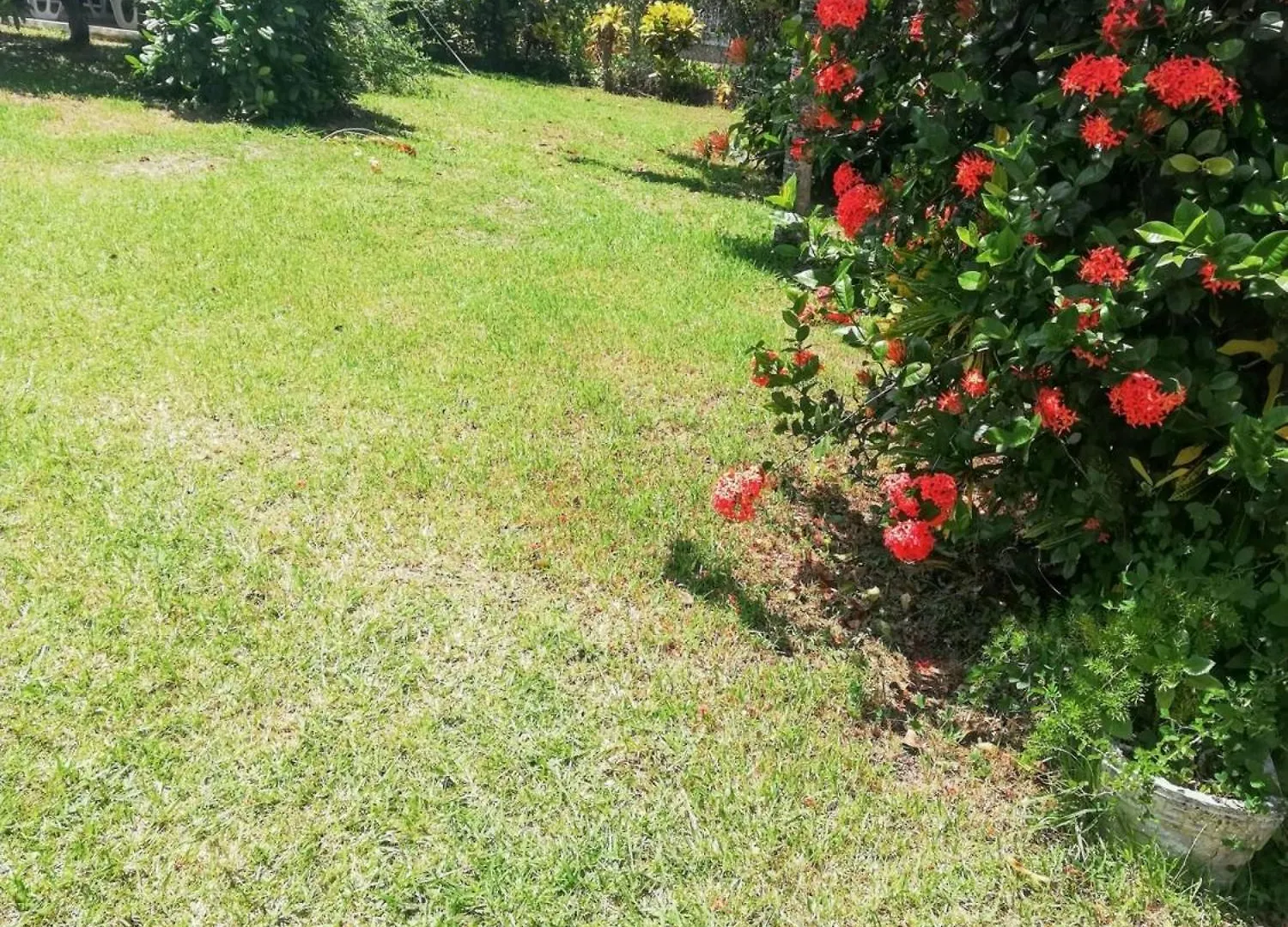 Studio Charmant A Sainte Luce 28 M² Terrasse Et Jardin Appartamento Sainte-Luce