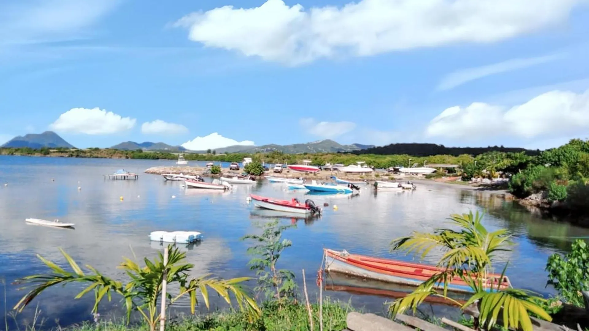 Studio Charmant A Sainte Luce 28 M² Terrasse Et Jardin Martinique