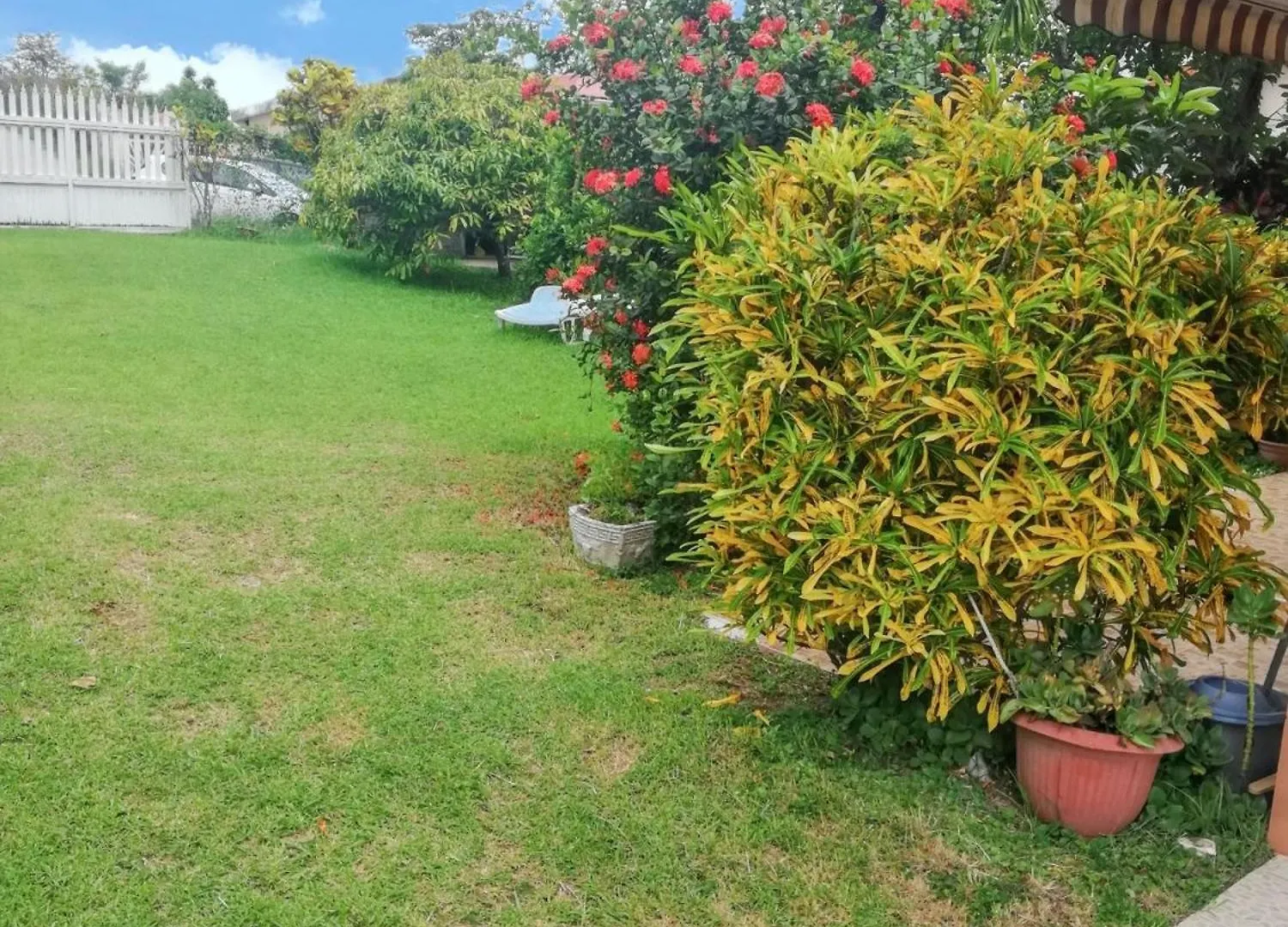 Apartman Studio Charmant A Sainte Luce 28 M² Terrasse Et Jardin Martinique